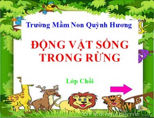 Dong vat song trong rung